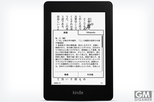 gigamen_Kindle_Paperwhite